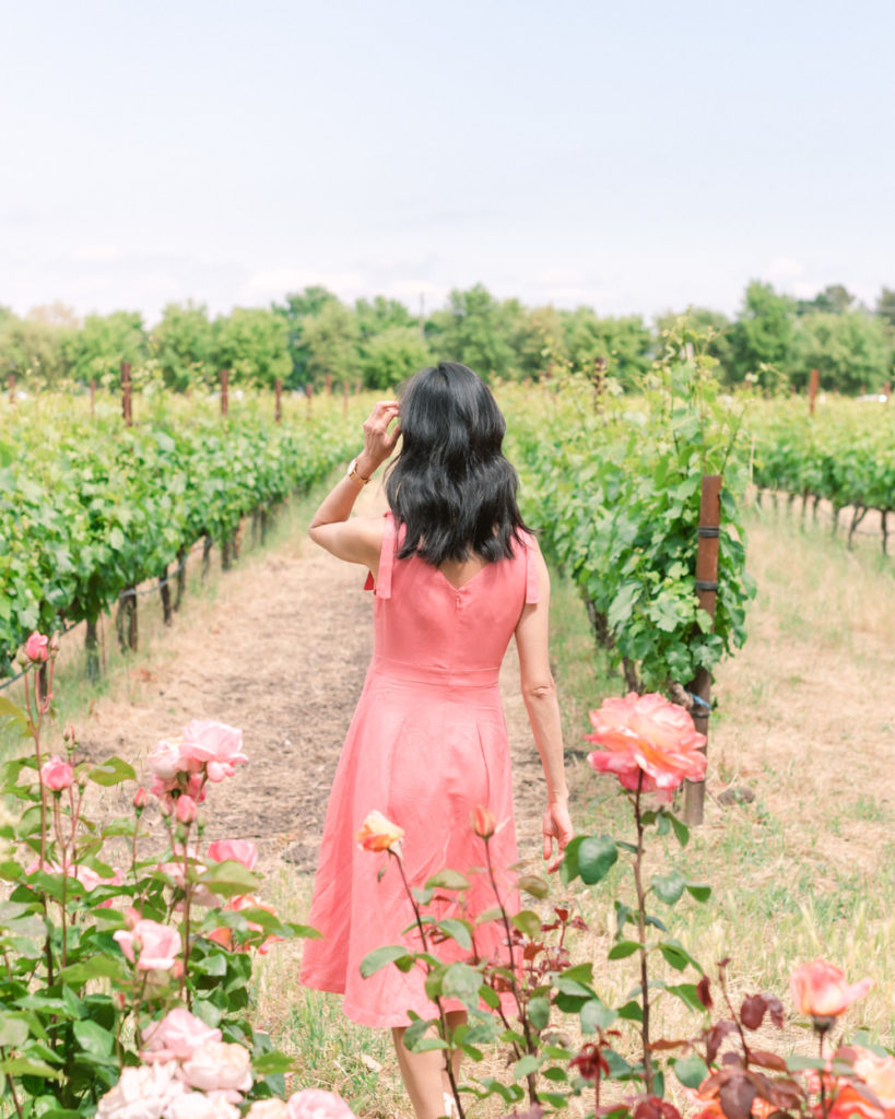 Sonoma Vineyard Rose Garden