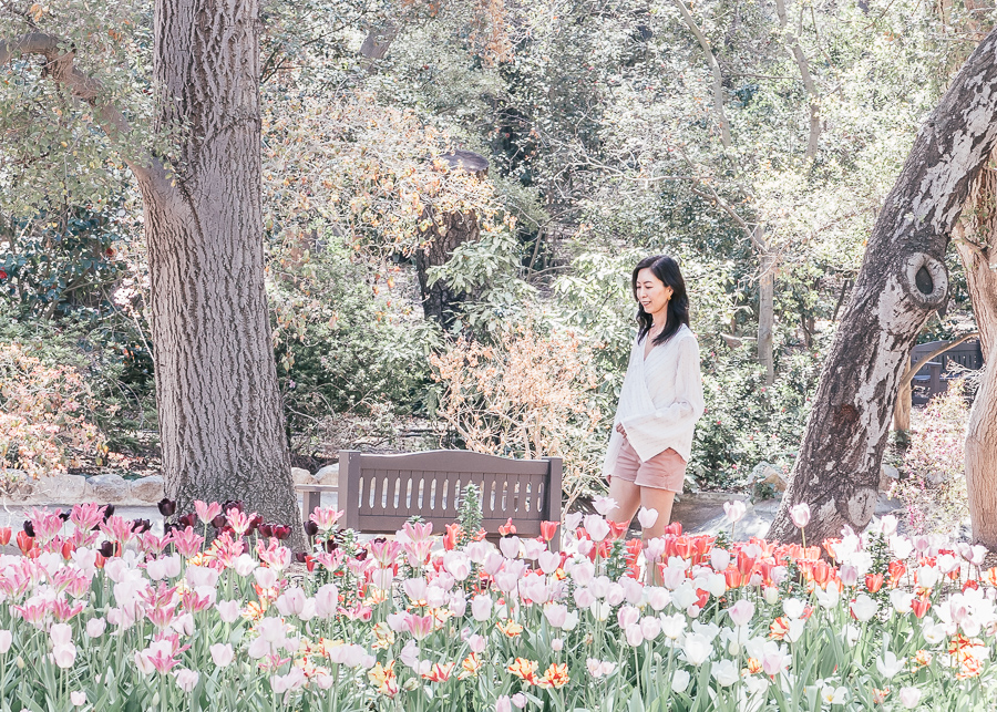 Descanso Gardens Los Angeles California
