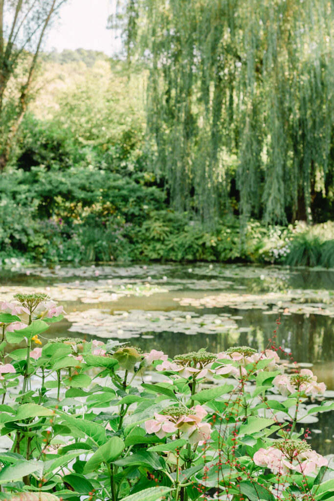 Japanese Pond in Monet's Garden in Giverny France