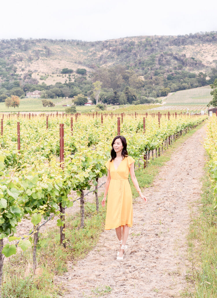 Sonoma Vineyard Scribe Winery