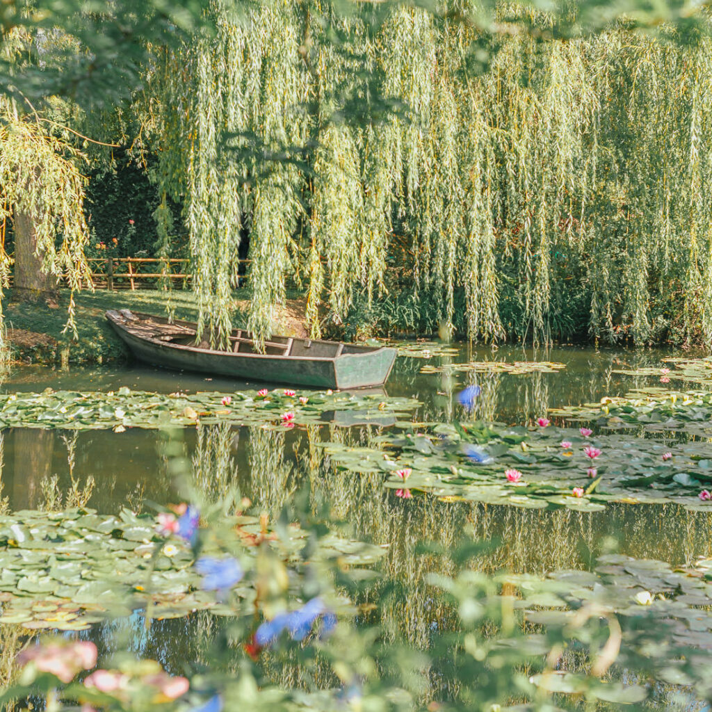 Wood Board and Water Lilies at Monet's Garden