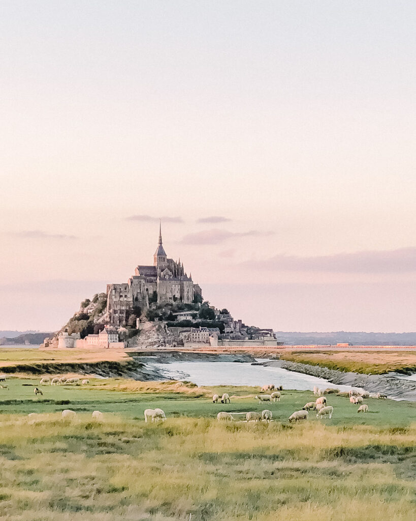Dusk with Mont St Michel in the background and grazing sheep in foreground