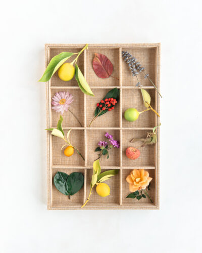tray filled with flowers, fruit, leaves, berries