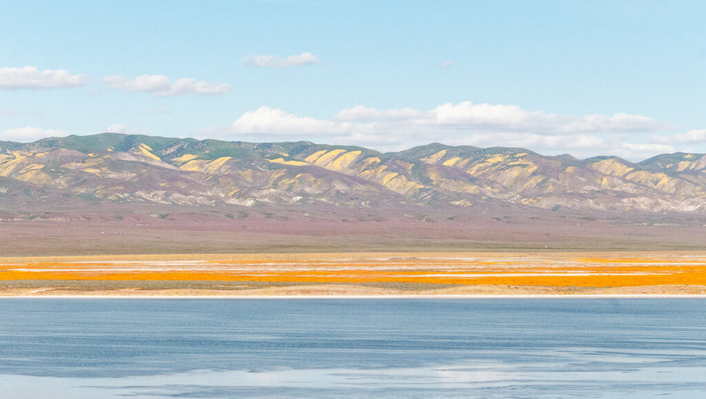 Mountains and fields covered with orange and yellow wildflowers at the Carrizo Plain