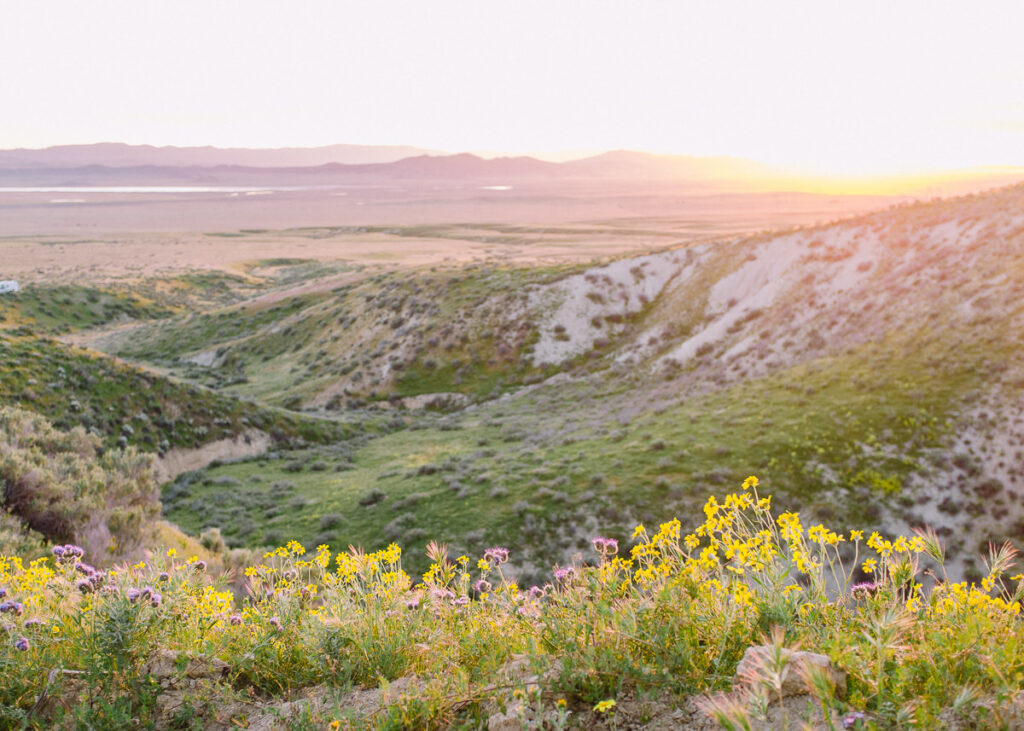 Sunset from hill at Carrizo Plain