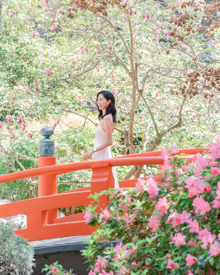 The Japanese Garden at Descanso Gardens in L.A. This garden has beautiful Spring blooms including tulips and magnolias! Perfect for flower lovers and photographers!