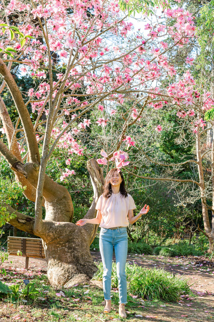 Magnolias in San Francisco Botanical Garden