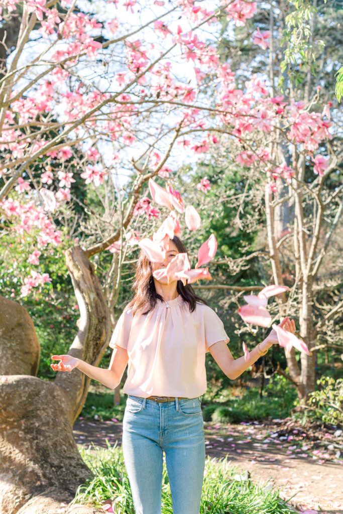 Magnolias in San Francisco Botanical Garden