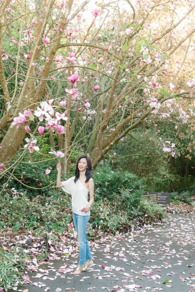 Magnolias in San Francisco Botanical Garden