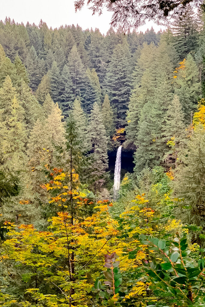 The North Falls Waterfall of the Trail of Ten Falls in Silver Lakes State Park in Oregon