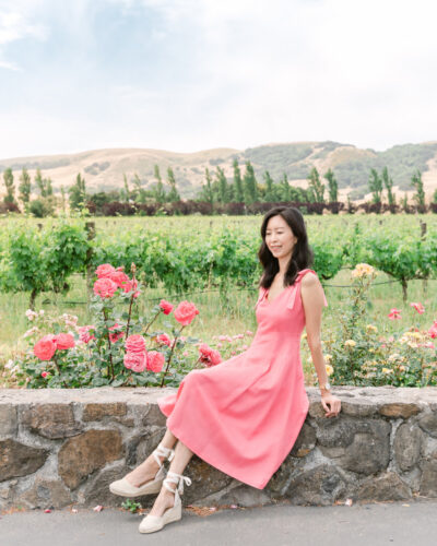 Sonoma Vineyard Rose Garden
