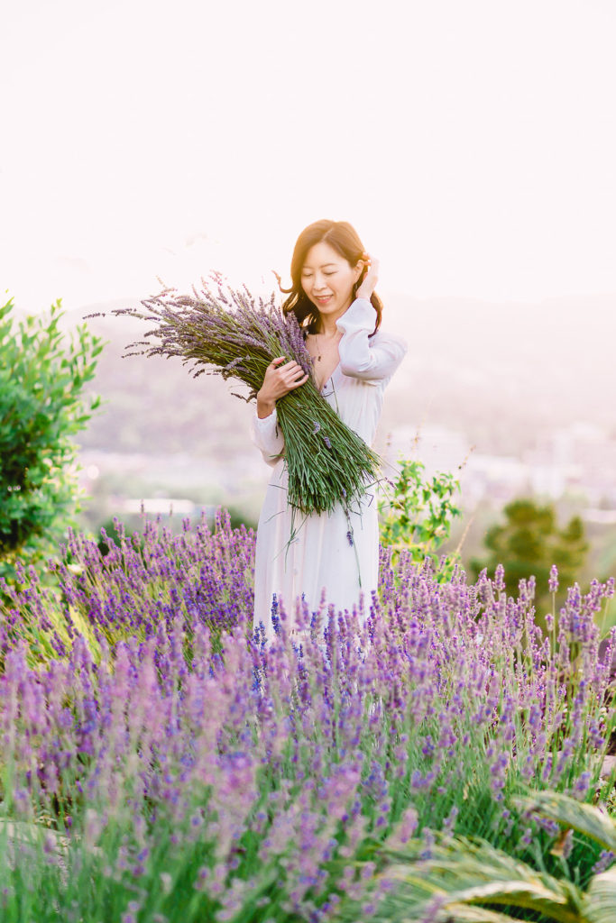 Harvesting garden lavender - How to Harvest and Dry Lavender