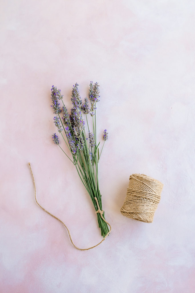 Bundle of lavender - How to Harvest and Dry Lavender