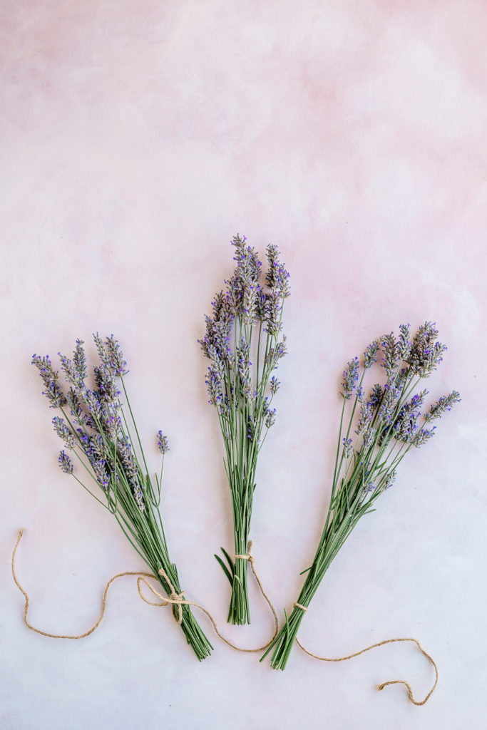 3 bundles of lavender - How to Harvest and Dry Lavender