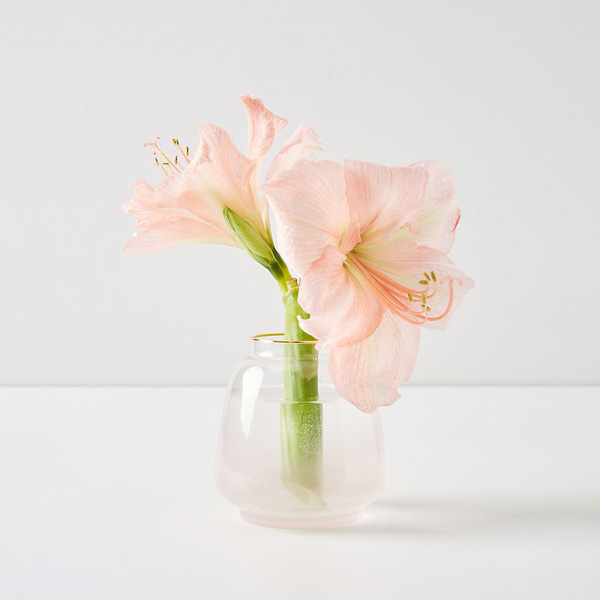 Gifts for flower lovers - pretty glass vase