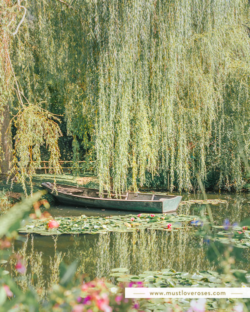Monet's Real Life Garden in Giverny, France Trip Report and Pictures