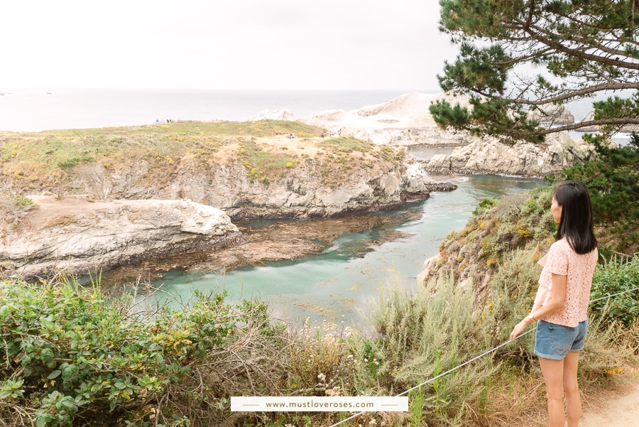 Point Lobos Natural Reserve in Big Sur