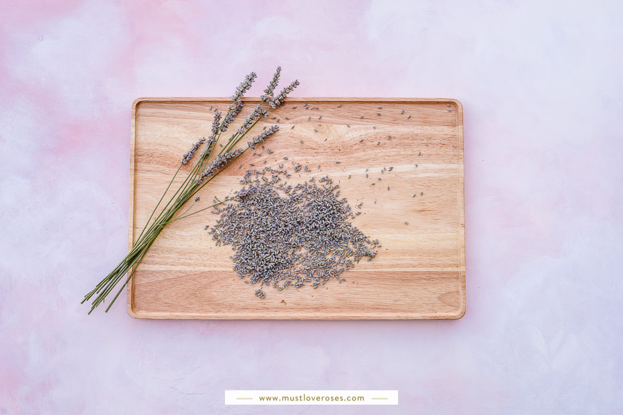 How to Harvest and Dry Lavender