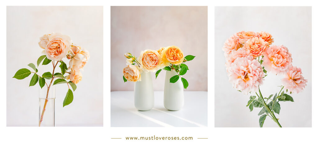 Flower Collage - Best Lens for Flower Photography