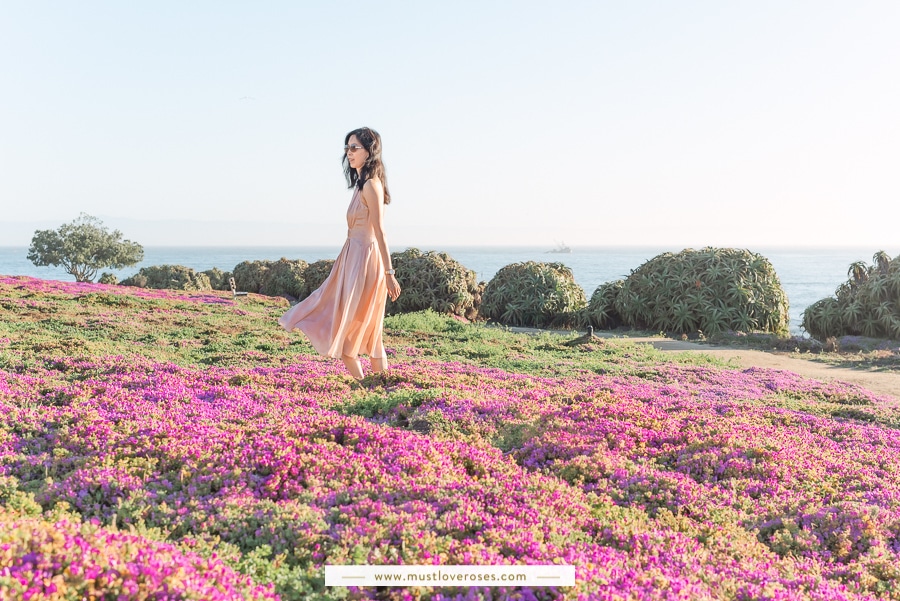 Pacific Grove Magic Purple Carpet