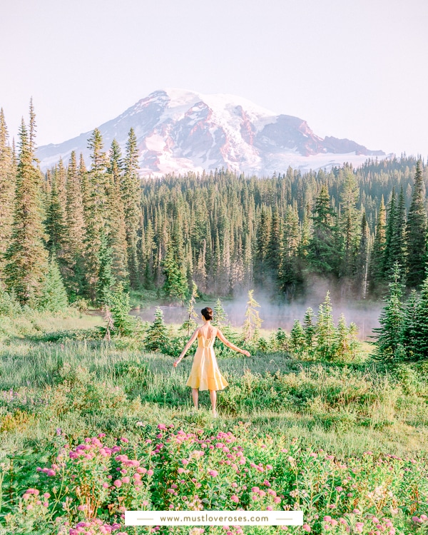 Forest Wildflowers - White - Mount Rainier National Park (U.S.