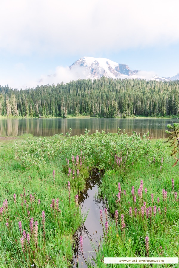 Reflection Lakes at Mount Rainier National Park