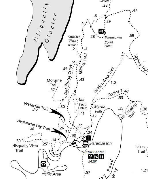 Mt Rainier Paradise Trails map
