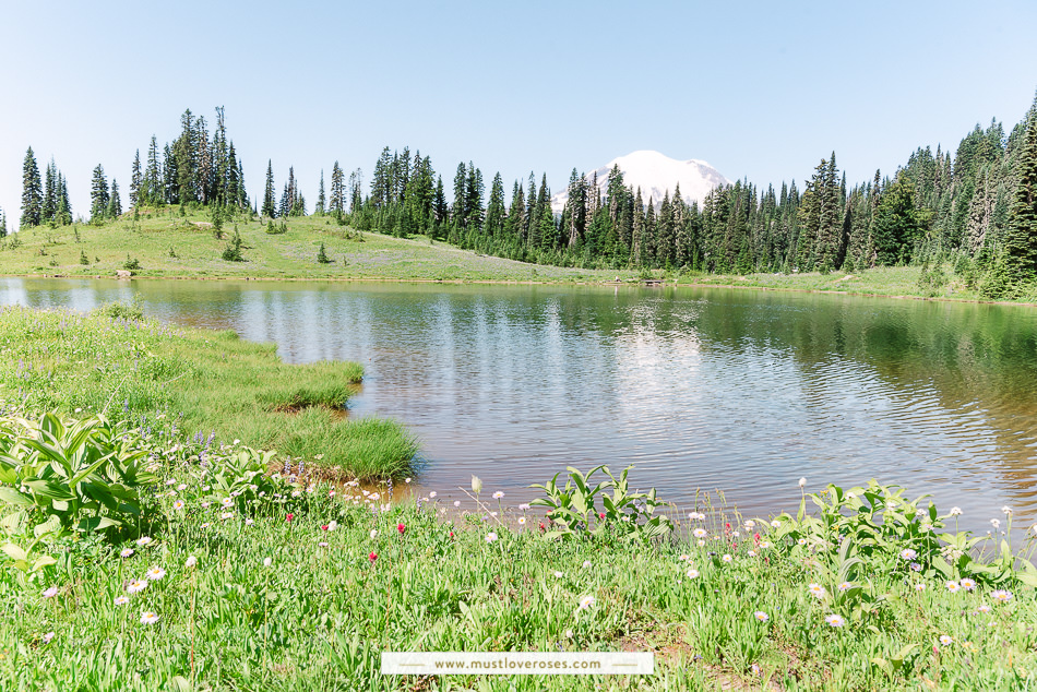 Mt Rainier Tipsoo Lake