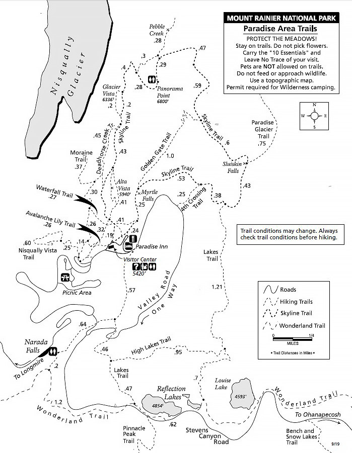 Mt Rainier Map of Paradise Area Trails