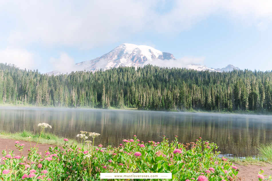 Mt Rainier Reflection Lakes