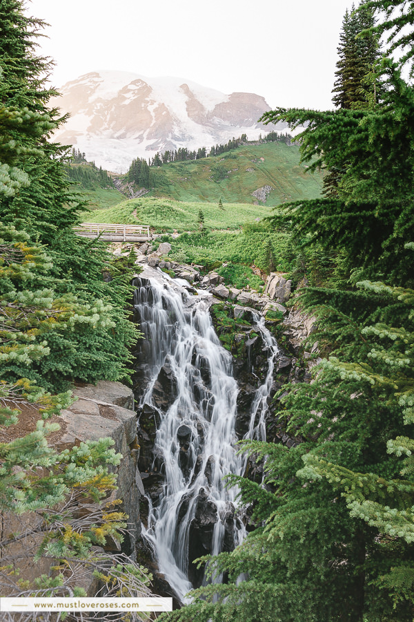 Mt Rainier Myrtle Falls